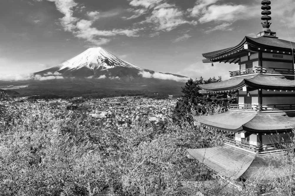 Mount Fuji Pagoda Spring by Melanie Viola — canvas wall art