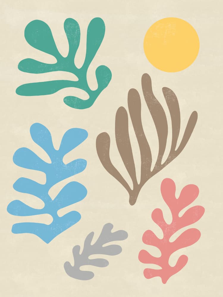 Matisse Inspired Organic Shapes by Ninola Design — canvas wall art