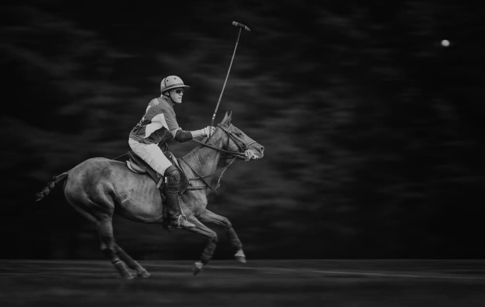 Polo Player In Action by Shi & Wei — canvas wall art