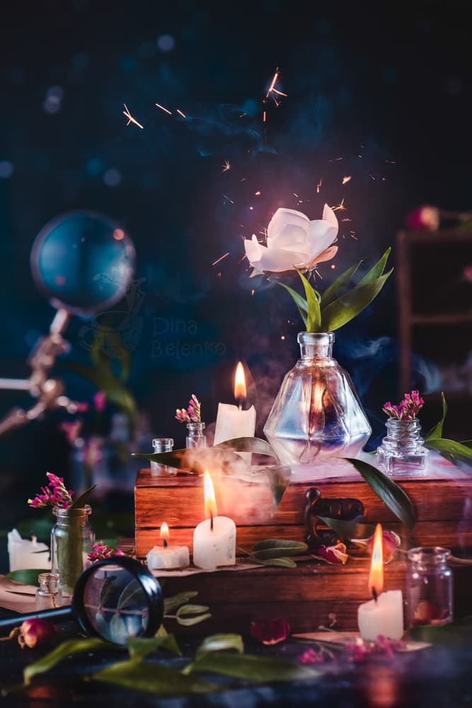 Enchanted Flower Sparks by Dina Belenko — canvas wall art
