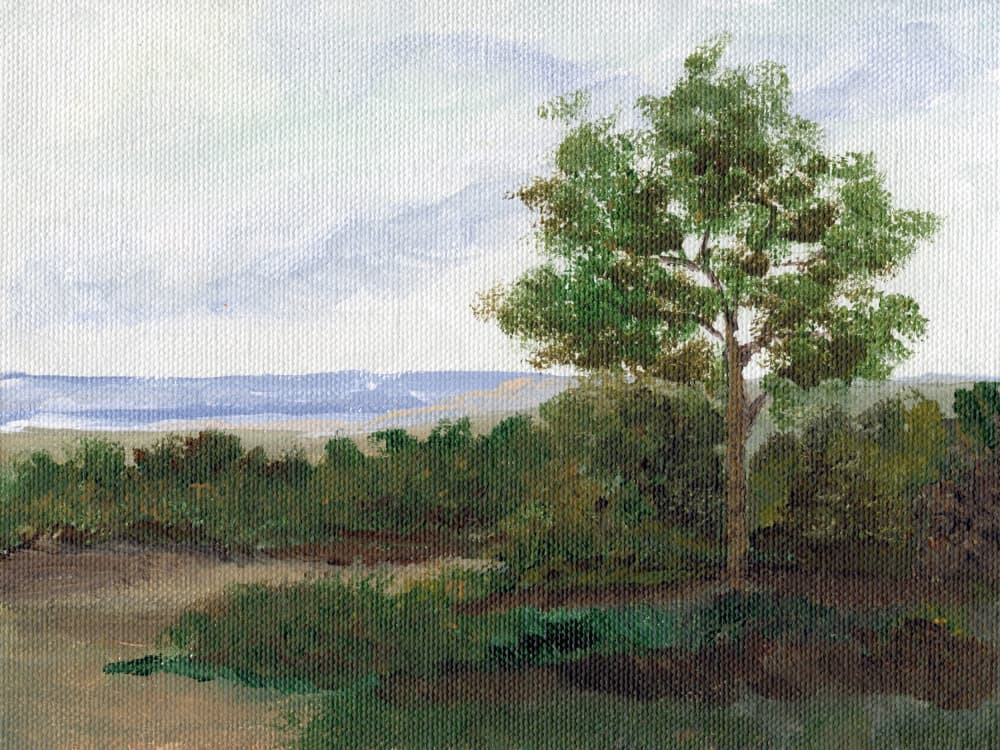 Serene Countryside Path by Nikita Jariwala — canvas wall art