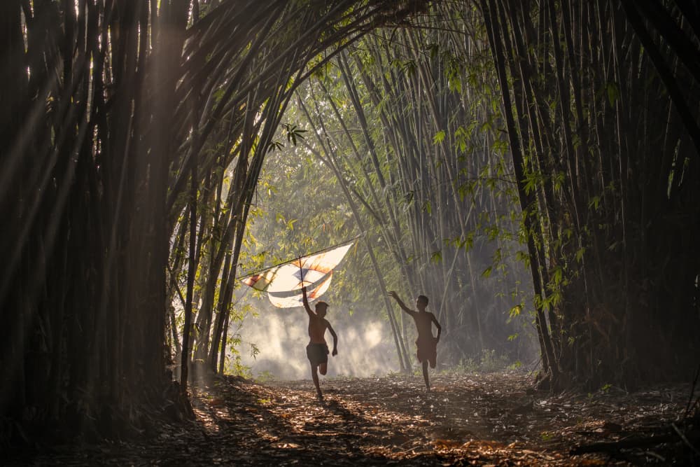 Childhood Joy Bamboo Forest by Sally Widjaja — canvas wall art