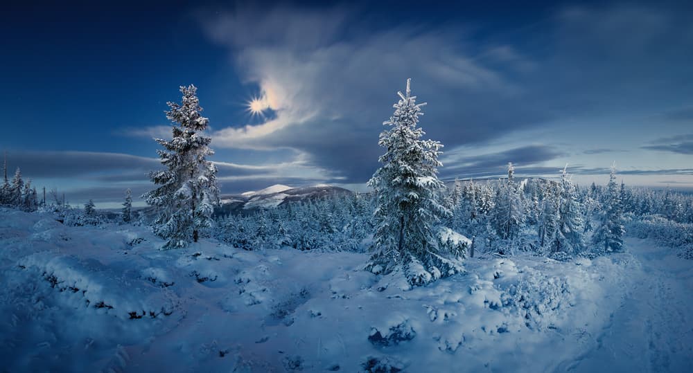 Frozen Peak Sunlight by Izabela Laszewska-Mitrega / Darek Mitręga — canvas wall art