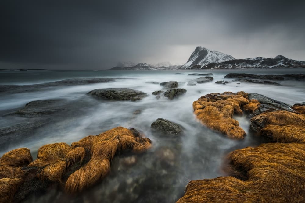 Misty Arctic Coast by Raymond Hoffmann — canvas wall art