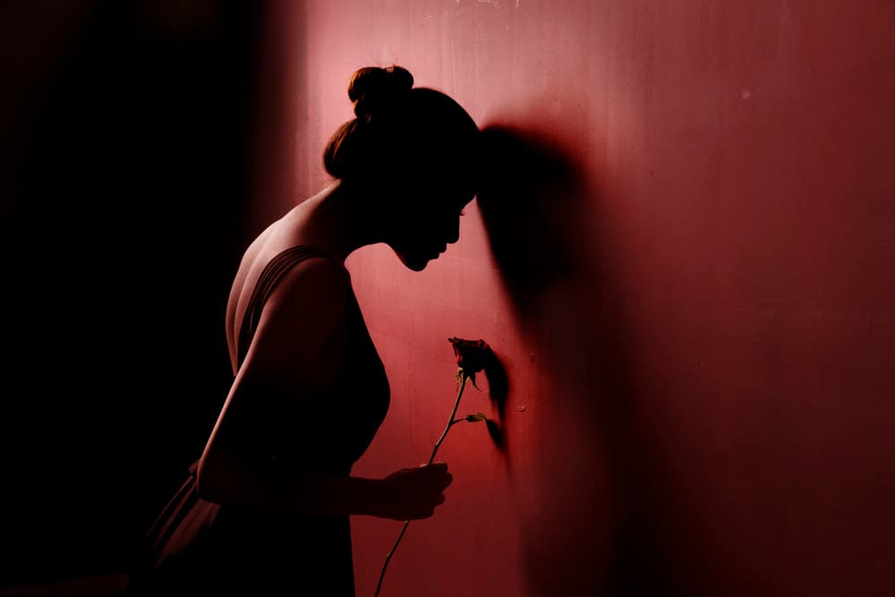 Melancholy Rose Silhouette by Sebastian Kisworo — canvas wall art