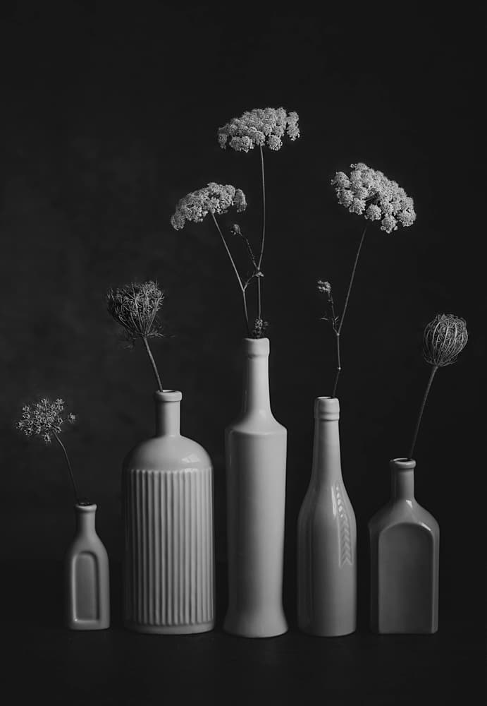 Monochrome Botanical Still Life by Lydia Jacobs — canvas wall art
