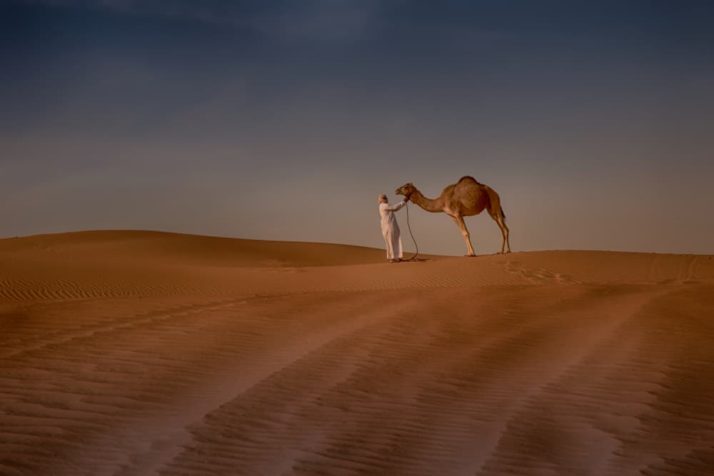 Golden Desert Journey by Yomn Almonla πΈπ¦ β canvas wall art