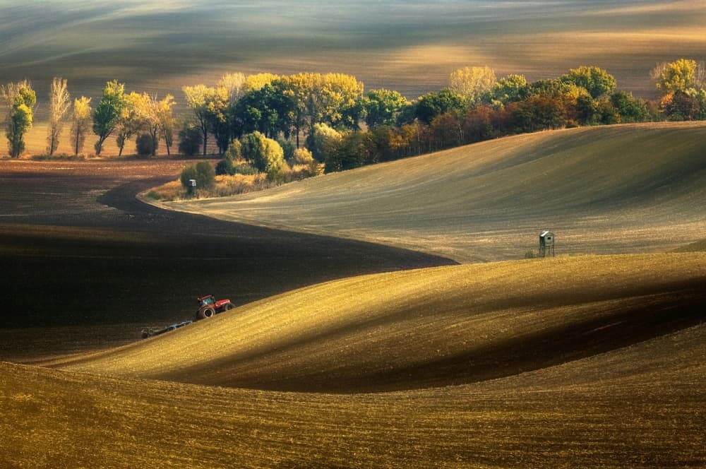 Golden Autumn Fields by Krzysztof Browko — canvas wall art