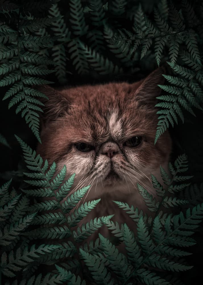 Moody Forest Feline by Ariz Rab — canvas wall art