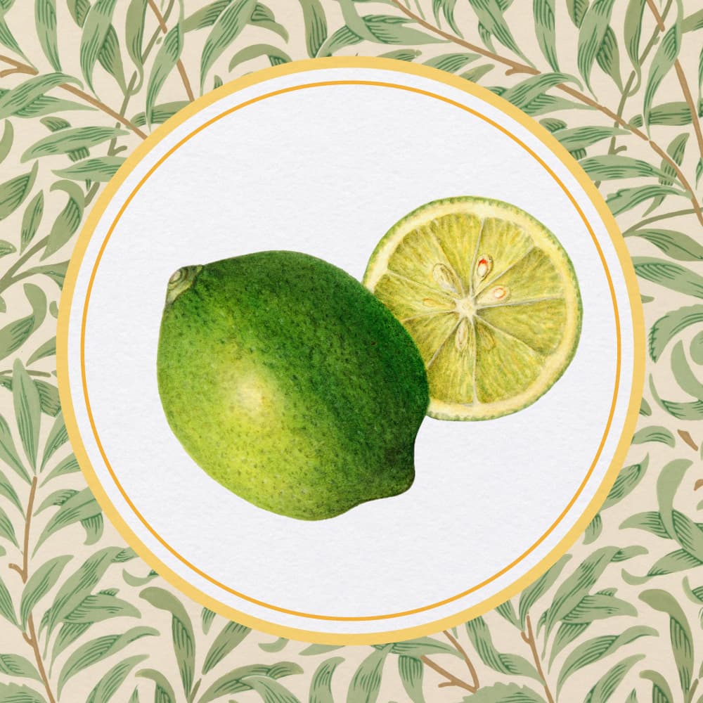 Fresh Green Limes by Wild Violets — canvas wall art