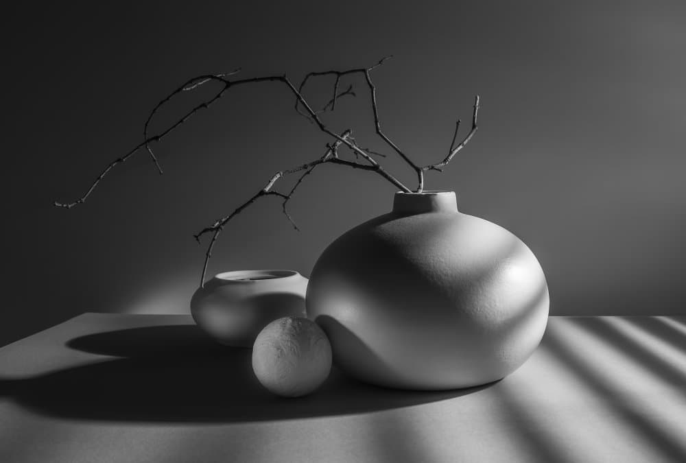 Monochrome Vases and Branches by Evgeniy Popov — canvas wall art