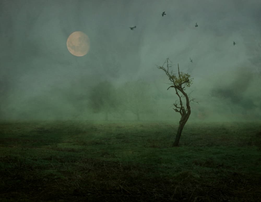 Solitary Tree Foggy Night by Robert Fabrowski — canvas wall art