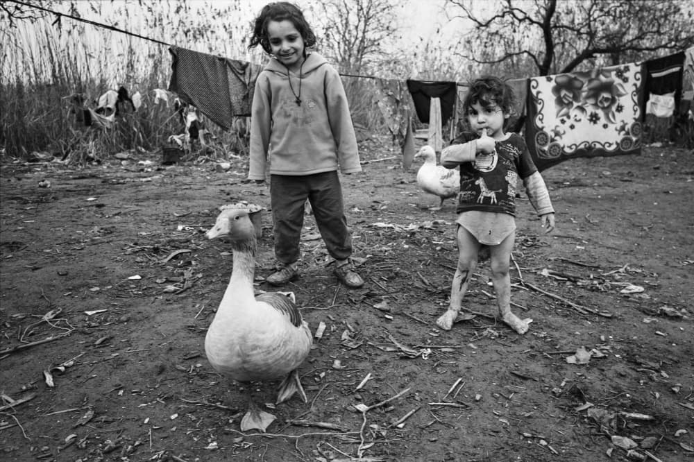 Children Goose Rural Life by Sorin Vidis — canvas wall art