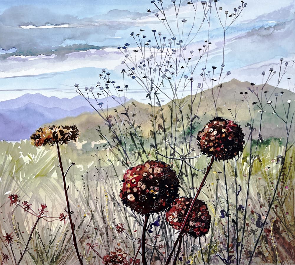 Wildflowers and Mountains by Luisa Millicent — canvas wall art