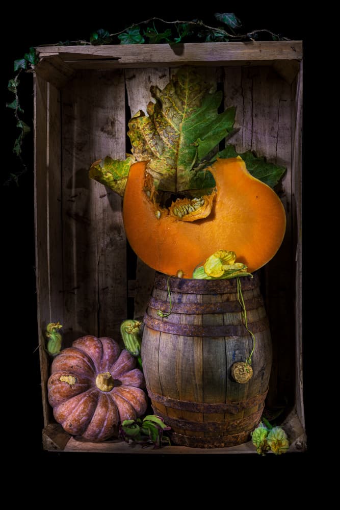 Rustic Autumn Pumpkins by Felice Angelino — canvas wall art