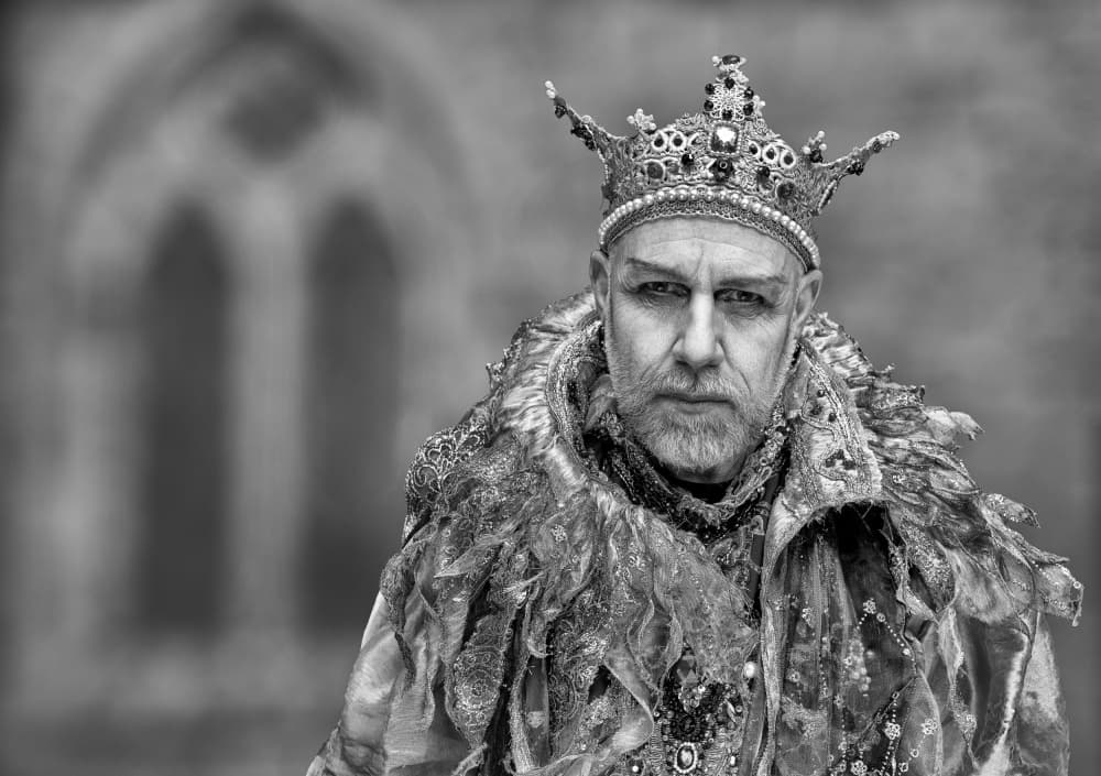 Regal King Portrait by Daniel Springgay — canvas wall art