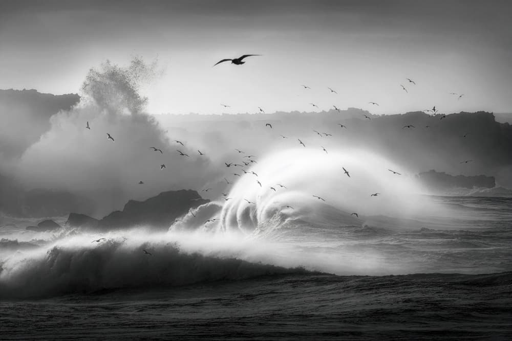 Powerful Waves Soaring Gulls by Nichole Chen — canvas wall art
