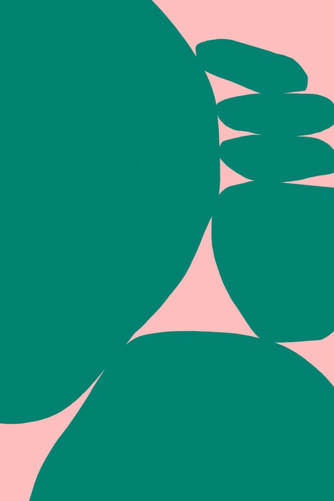 Soft Green Pink Forms by Treechild — canvas wall art