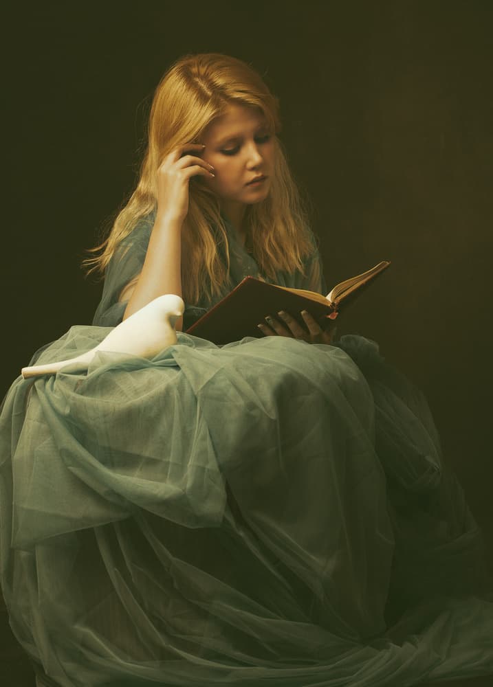 Girl Reading with Dove by Mehdi Mokhtari — canvas wall art