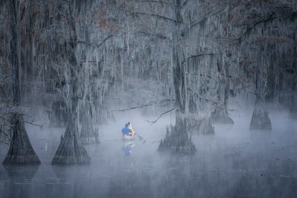 Solitary Canoe Misty Swamp by Willa Wei — canvas wall art