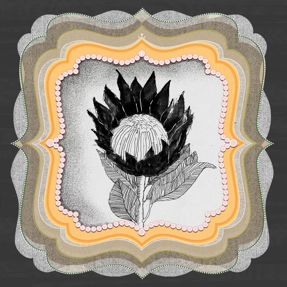 Vintage Protea Bloom by XHOZUCAN — canvas wall art