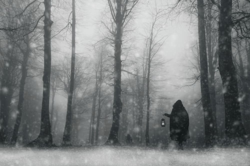 Mysterious Winter Wanderer by Ummu Nisan Kandilcioglu — canvas wall art