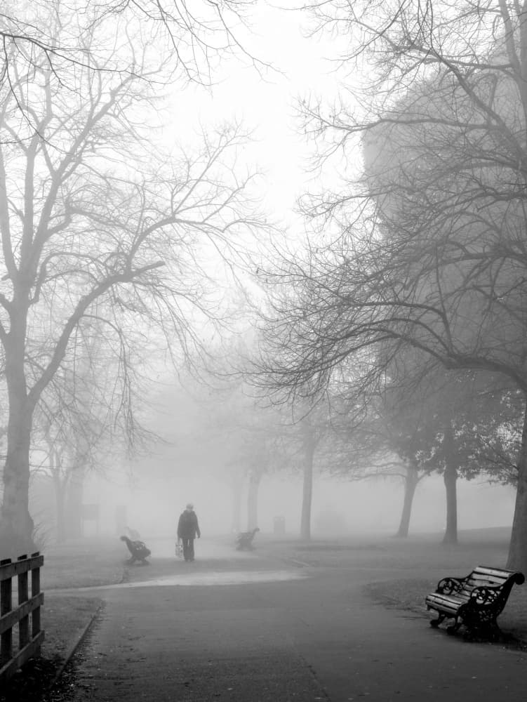 Foggy Park Solitude by Elizabeth Allen — canvas wall art