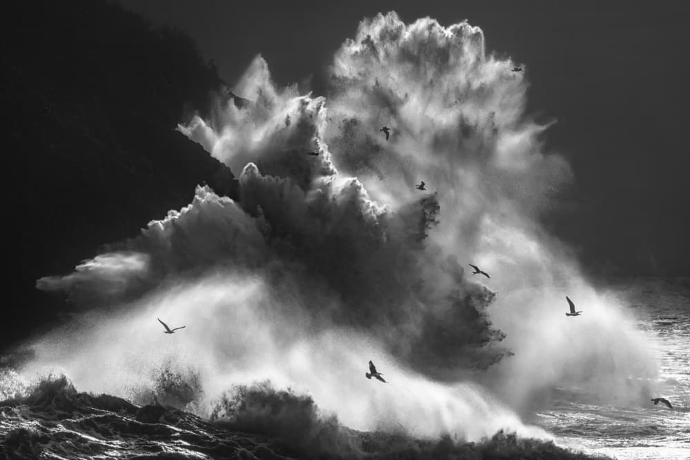 Crashing Waves Gulls by Paolo Lazzarotti — canvas wall art