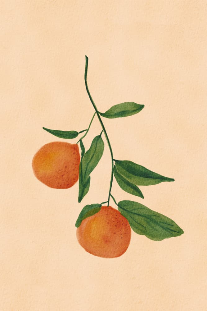 Orangesbranch by Treechild — canvas wall art