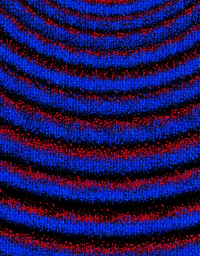 Red Blue Sound Waves by Temitope Ogunwale — canvas wall art