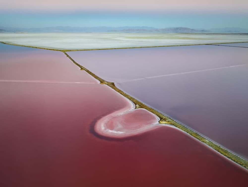 Pink Salt Pond Patterns by Shenshen Dou — canvas wall art