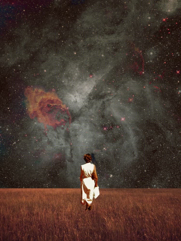 Follow Me by Frank Moth by Frank Moth — canvas wall art