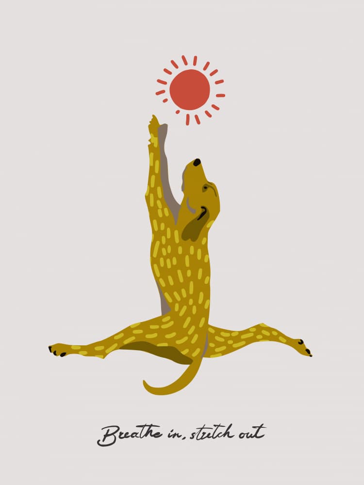 Stretching Dog Sun by Annick — canvas wall art