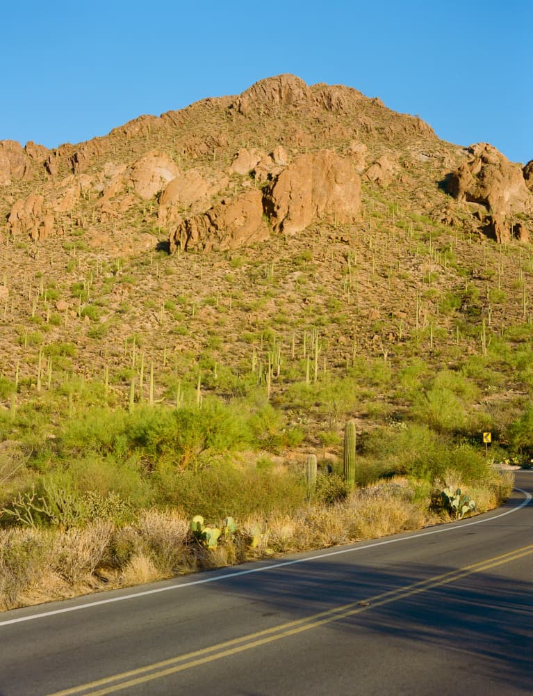 Desert Mountain Road by Bethany Young — canvas wall art