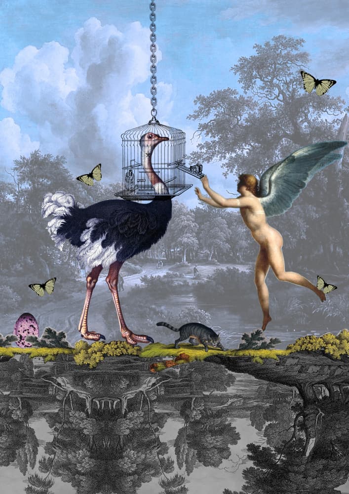 Surreal Ostrich Angel Dream by Pascal Bouchet-Spiegel — canvas wall art