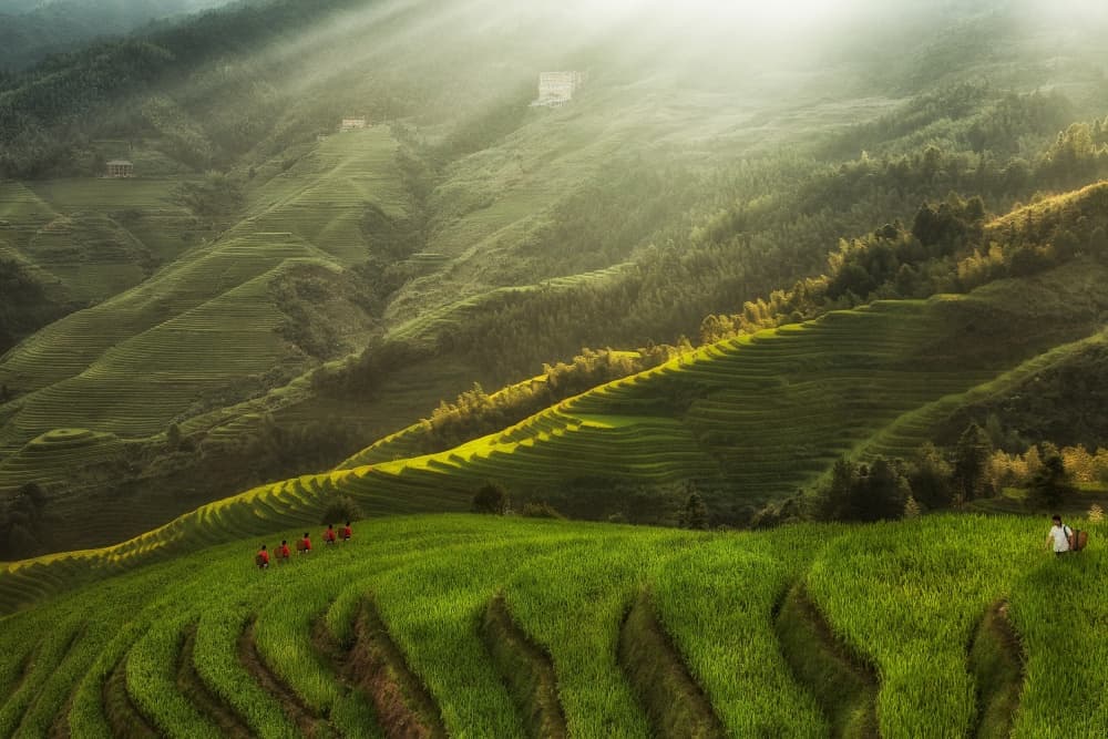 Sunlit Mountain Terraces by Max Witjes — canvas wall art