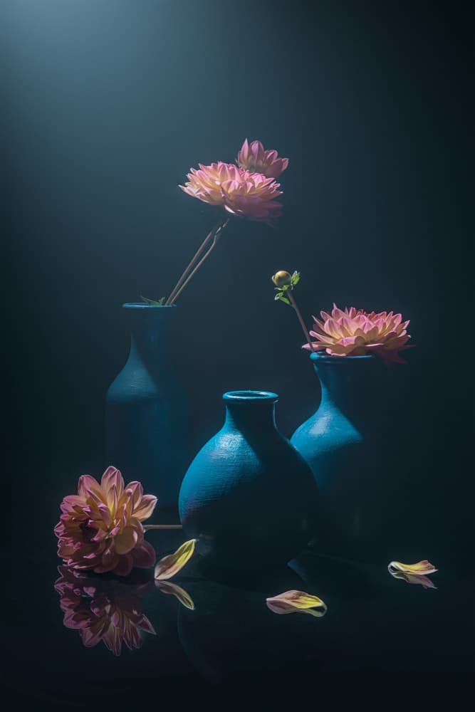 Moody Pink Dahlias by Lydia Jacobs — canvas wall art