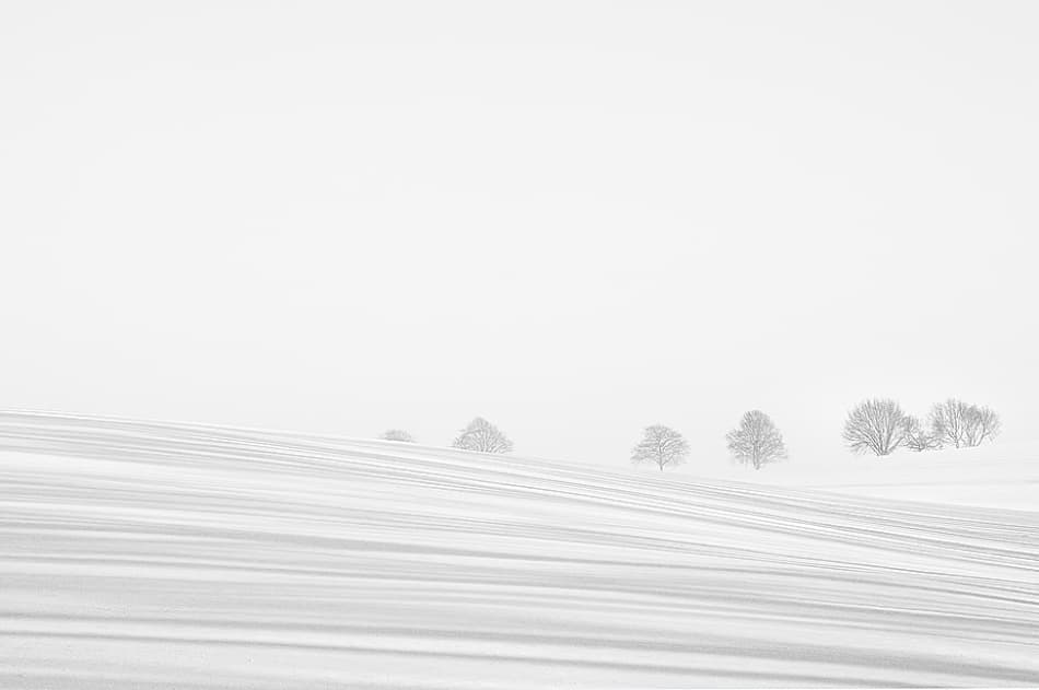 Serene Winter Landscape by Lou Urlings — canvas wall art