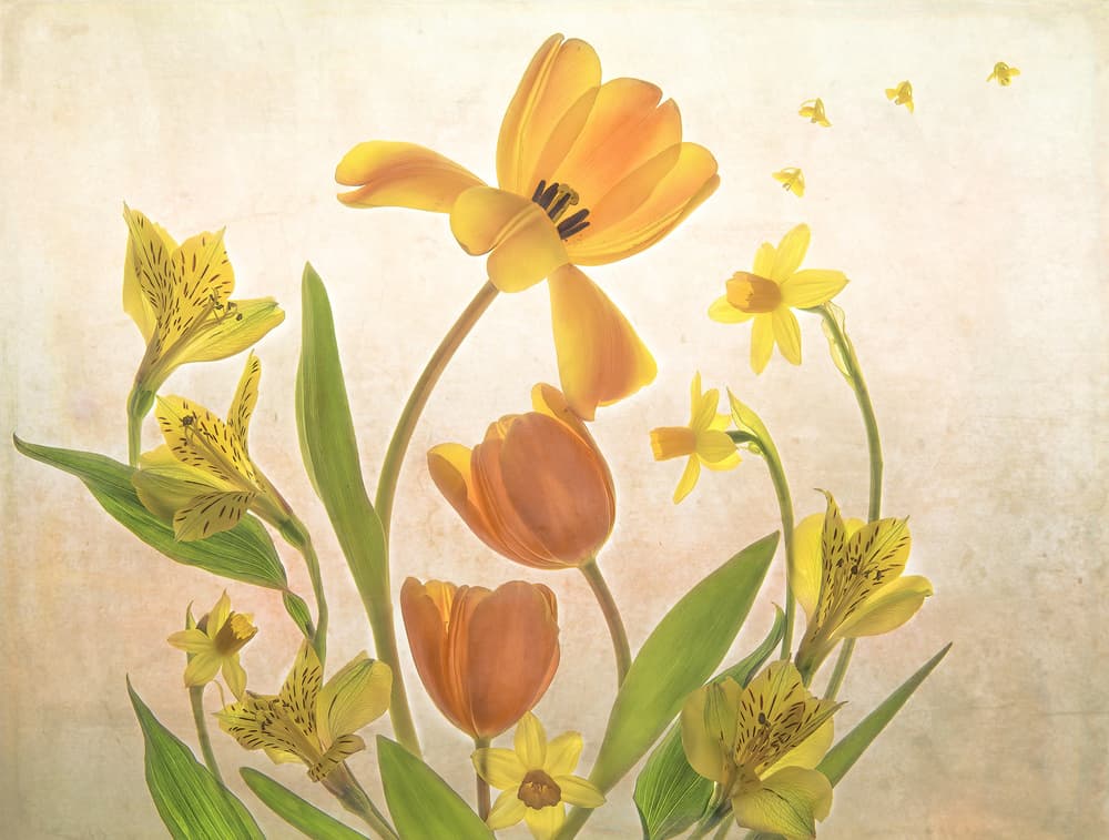 Golden Spring Flowers by Catherine Wang — canvas wall art