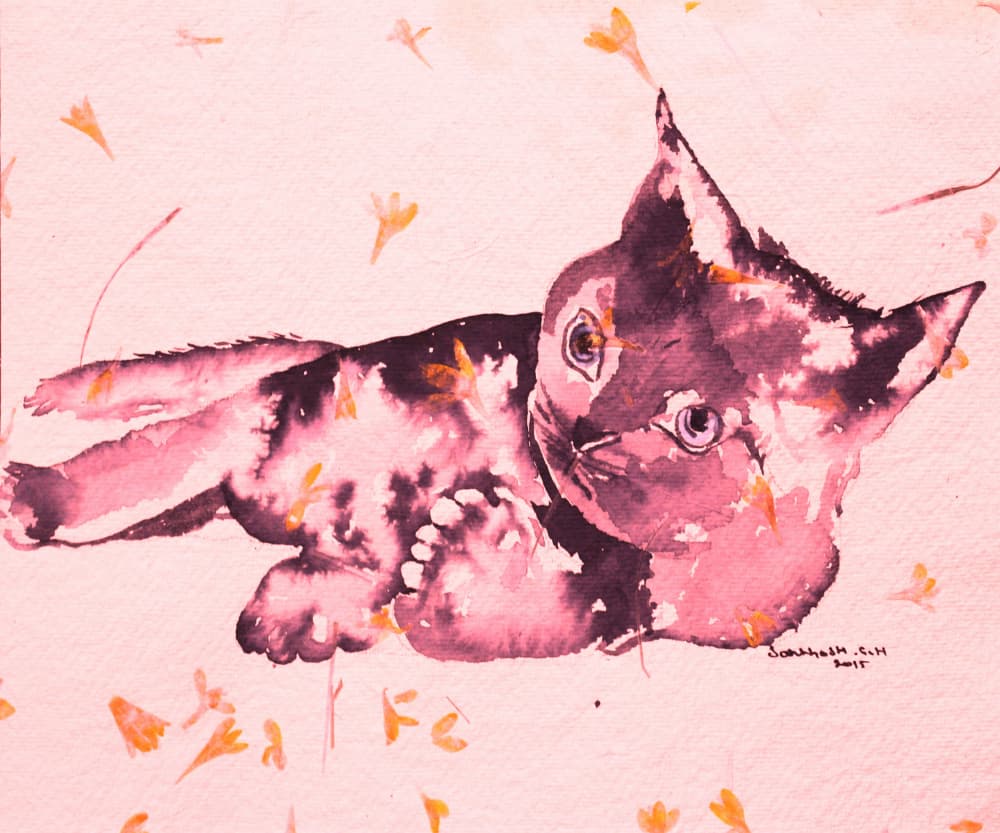 Playful Pink Kitten by Santhosh ch — canvas wall art