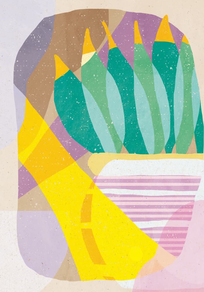 Vibrant Botanical Shapes by Aylin Demir — canvas wall art