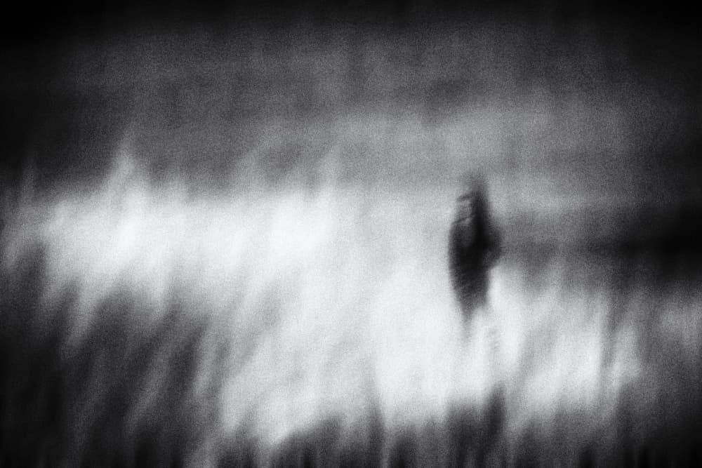 Blurred Solitary Figure by Ina Tänzer — canvas wall art