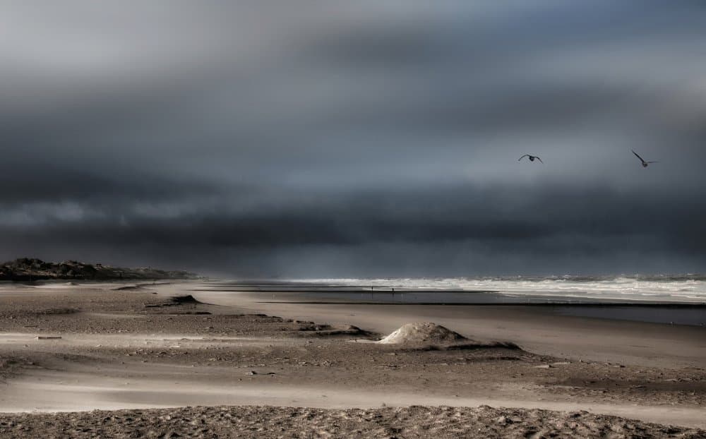 Birds Over Dark Ocean by Yvette Depaepe — canvas wall art