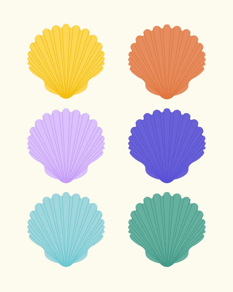 Colorful Scallop Shells by Artprink — canvas wall art