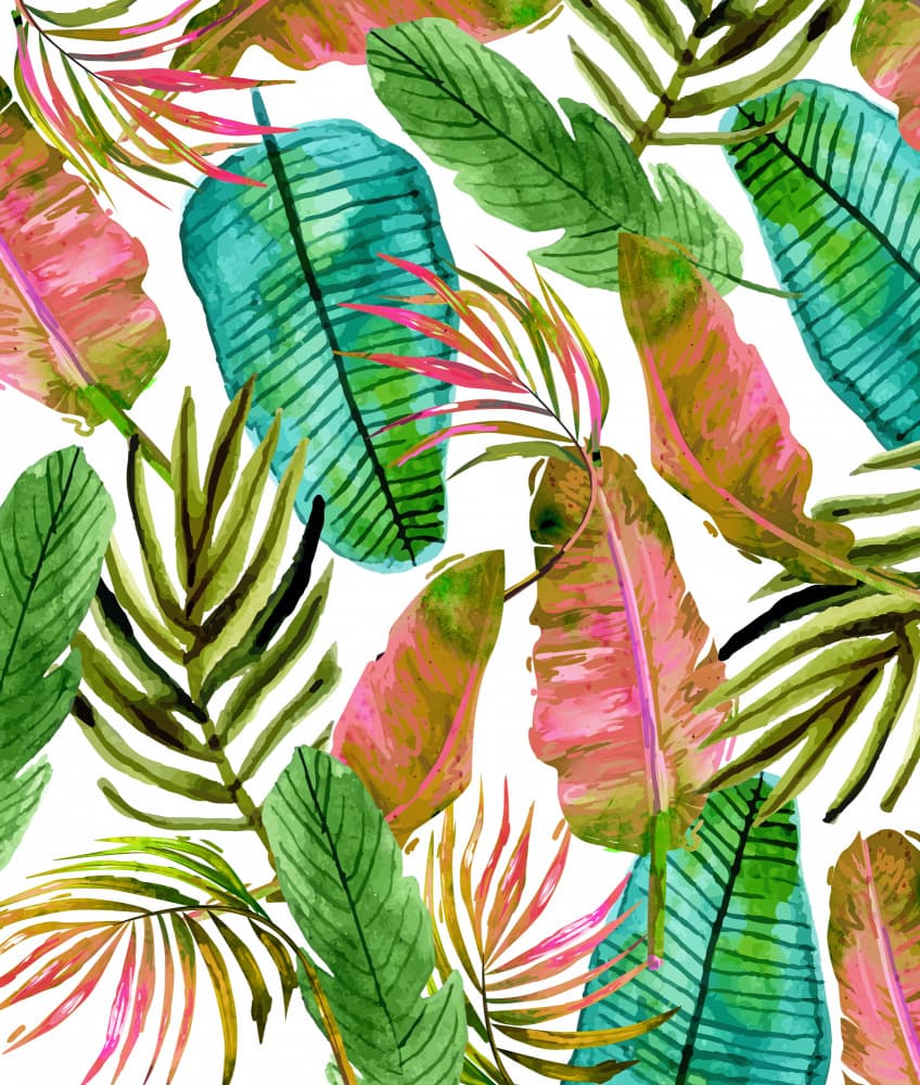 Vibrant Tropical Leaves by Uma Gokhale — canvas wall art