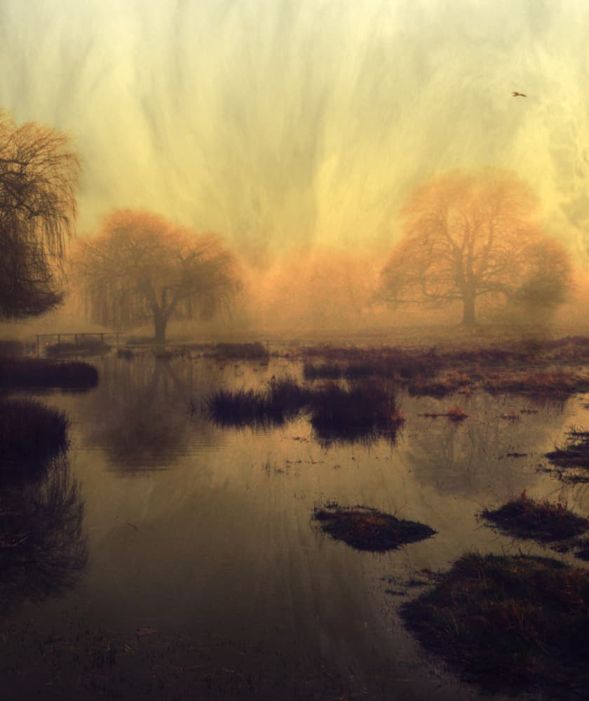 Misty Autumn Landscape by Robert Fabrowski — canvas wall art