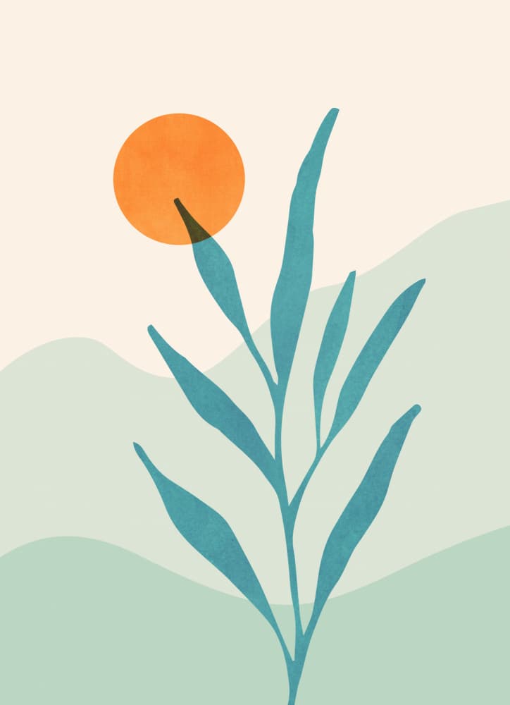 Sage Sunset by Kristian Gallagher — canvas wall art