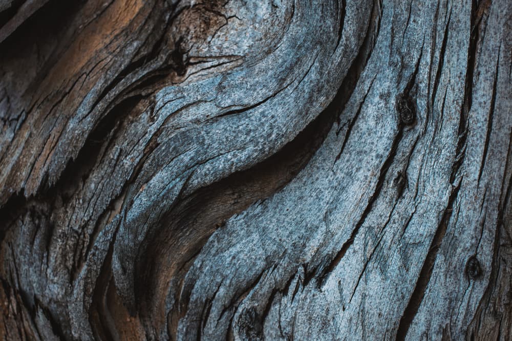 Weathered Wood Patterns by Tim Mossholder — canvas wall art