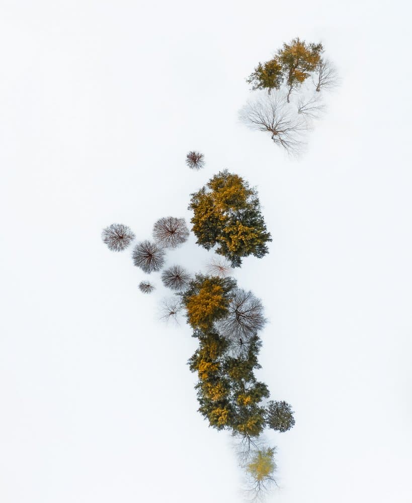 Winter Tree Islands by Wei (David) Dai — canvas wall art