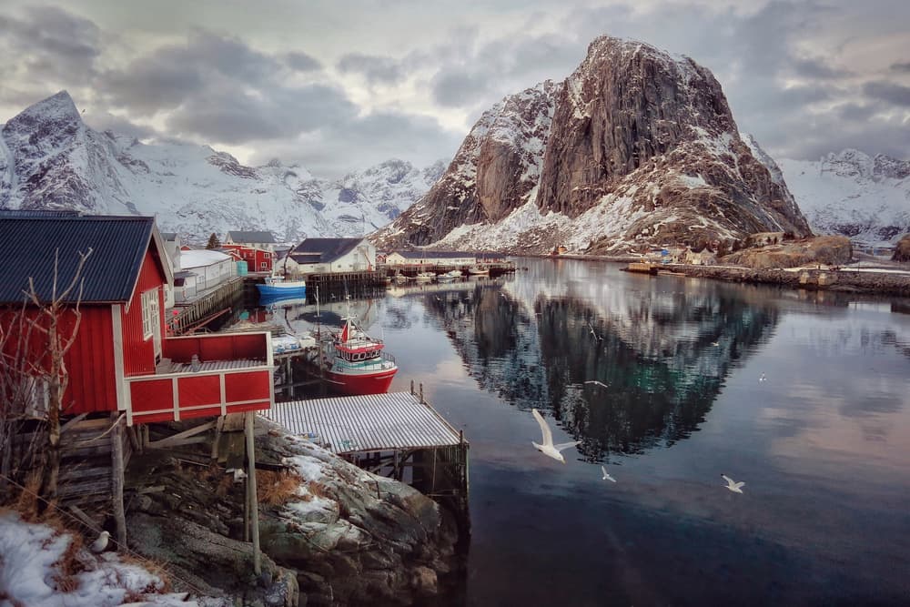 Lofoten Winter Fjord Village by Vincent Croce — canvas wall art